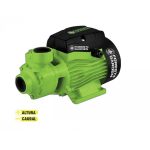 Bomba de Agua Periférica 1”x 1” 1Hp 220V 55L/Min PF 710/25 Forest And Garden MI-FYG-054797 - Imagen 2
