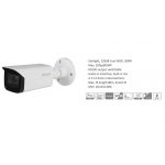 Cámara de Seguridad Bullet 80m 5MP HDCVI HFW2501TN-Z-A Dahua 1201172230