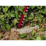 Cortasetos Inalámbrico 18V 60cm (Sin batería ni cargador) GE-CH 18/60 Li-Solo Einhell 3410930 - Imagen 4
