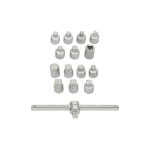Juego de Dados Tapones de Carter 15 Piezas AI030036A Jonnesway MI-JON-049612