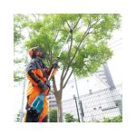 Podador de Altura Inalámbrico 18V 300mm +2 baterías 18V 5AH +Cargador Rápido Doble Makita DUA300PT2